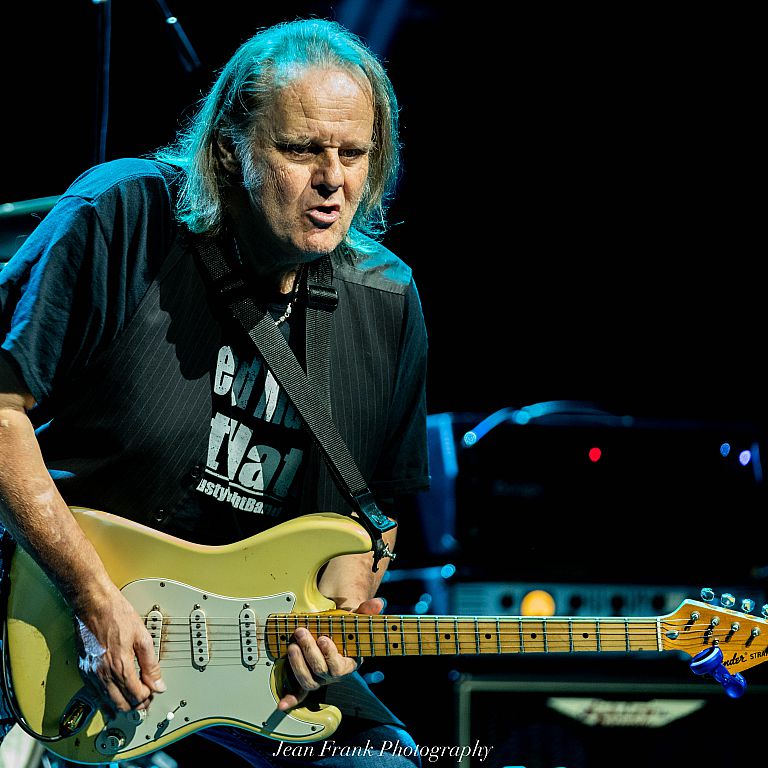 Walter Trout 